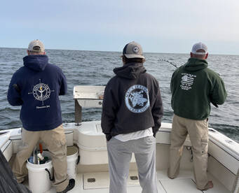 Gloucester Report Photo 1