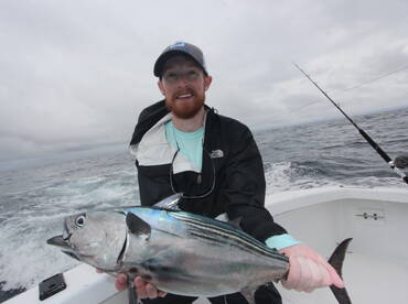 Quepos Report Photo 1