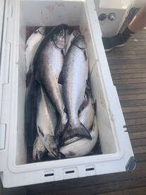 Great lake , Great weather , and KINGS a