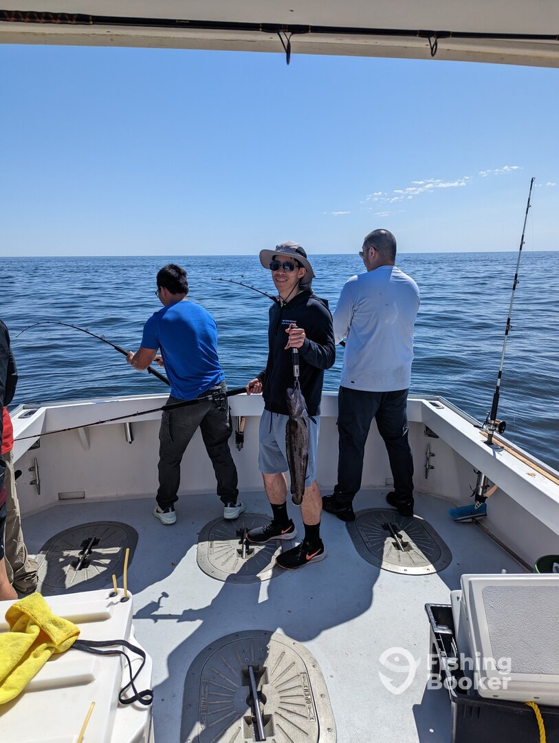 Gloucester Report Photo 0