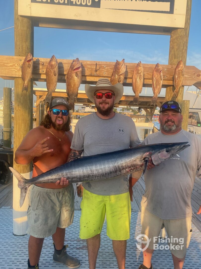 Orange Beach Report Photo 0