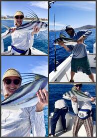 roosterfish season Daliken Sportfishing!