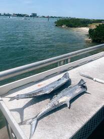 THE SPRING FISHING IS ON FIRE!!