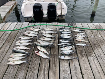 Foto Report Hatteras 2