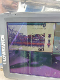 Fishing has been Great