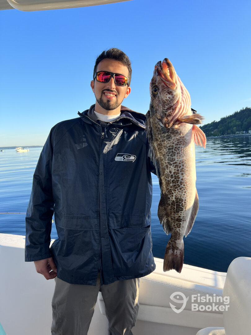 Seattle lingcod fishing has been on ?