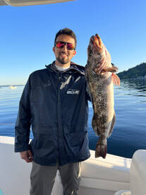 May Lingcod fishing has been solid! Come