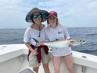 King Mackerel
