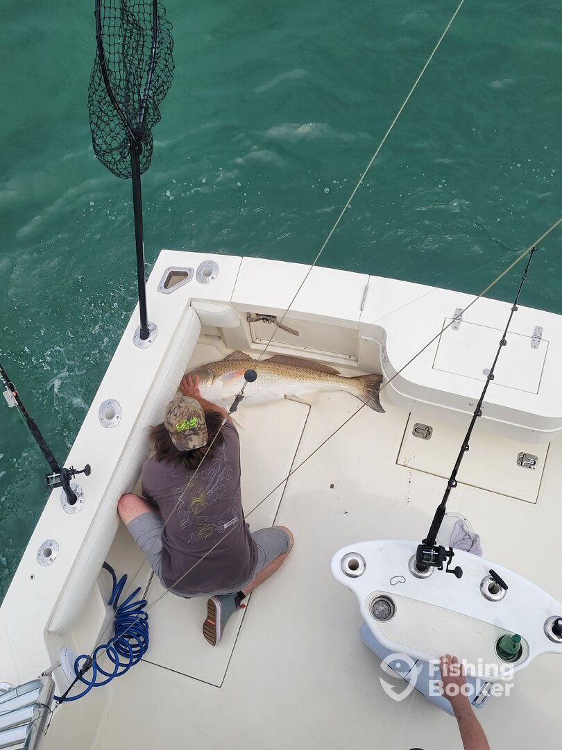 Virginia Beach Report Photo 0