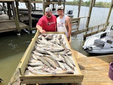 New Orleans Report Photo 2