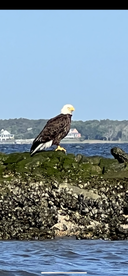 Kure Beach Report Photo 1