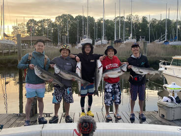 Neptune City Report Photo 2