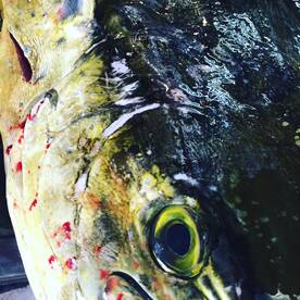 Better late than never