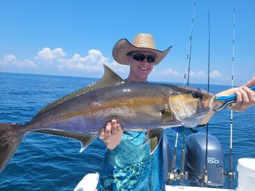 Amberjack Mania 