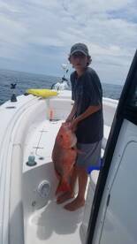 Gulfport Report Photo 1