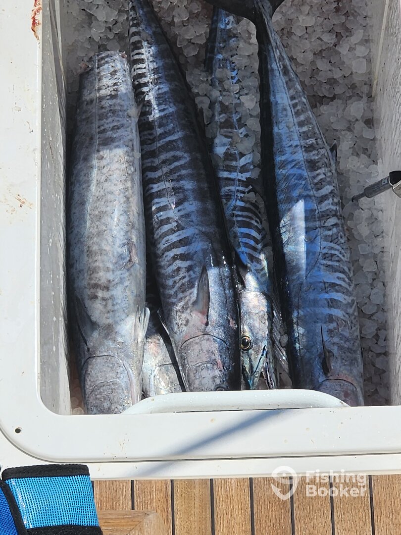 Dania Beach Report Photo 0