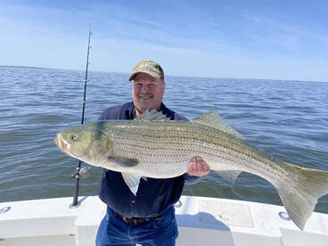 Time for the big ones