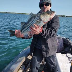 Foto Report Mastic 2