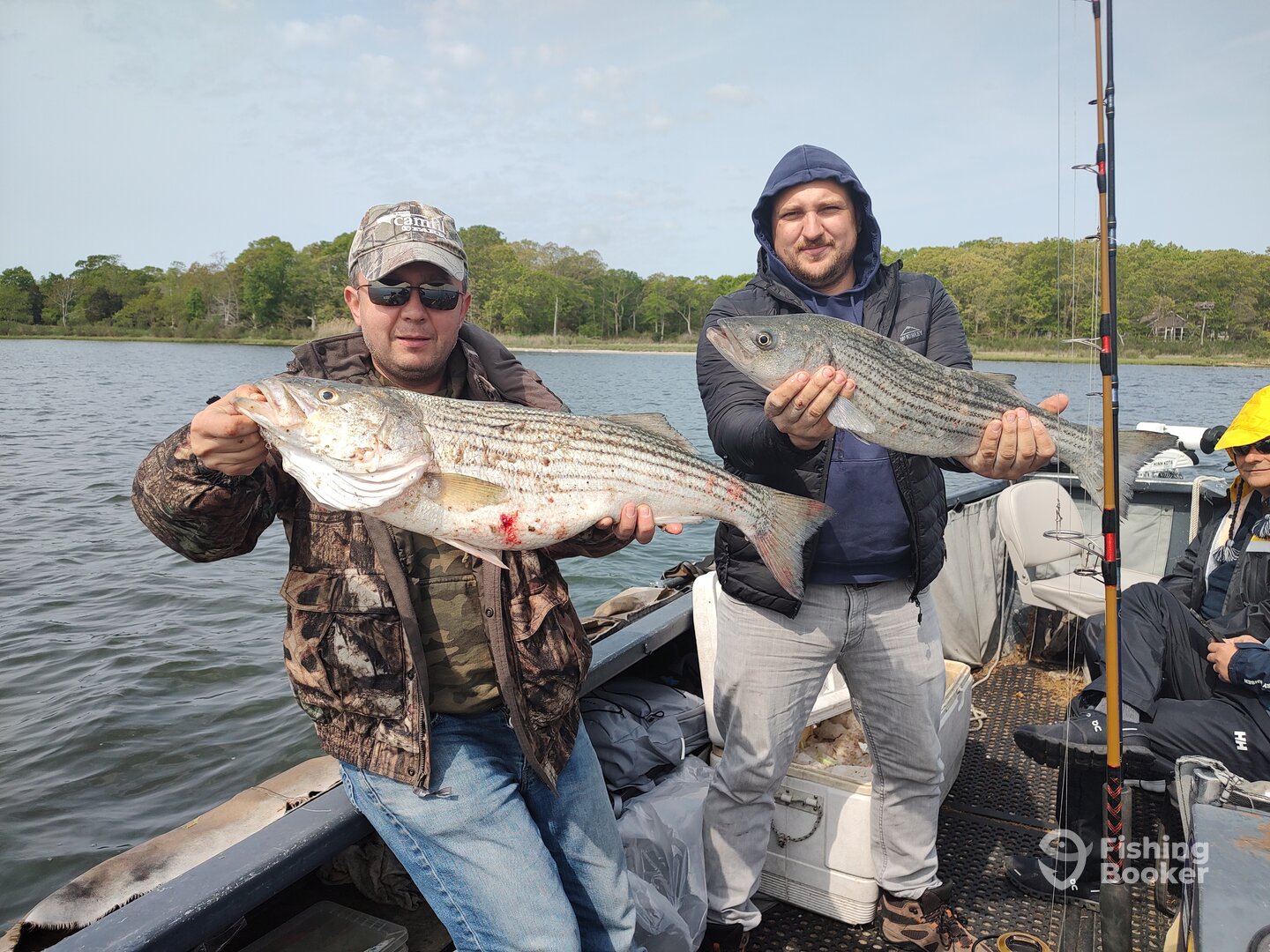 Mastic Report Photo 0