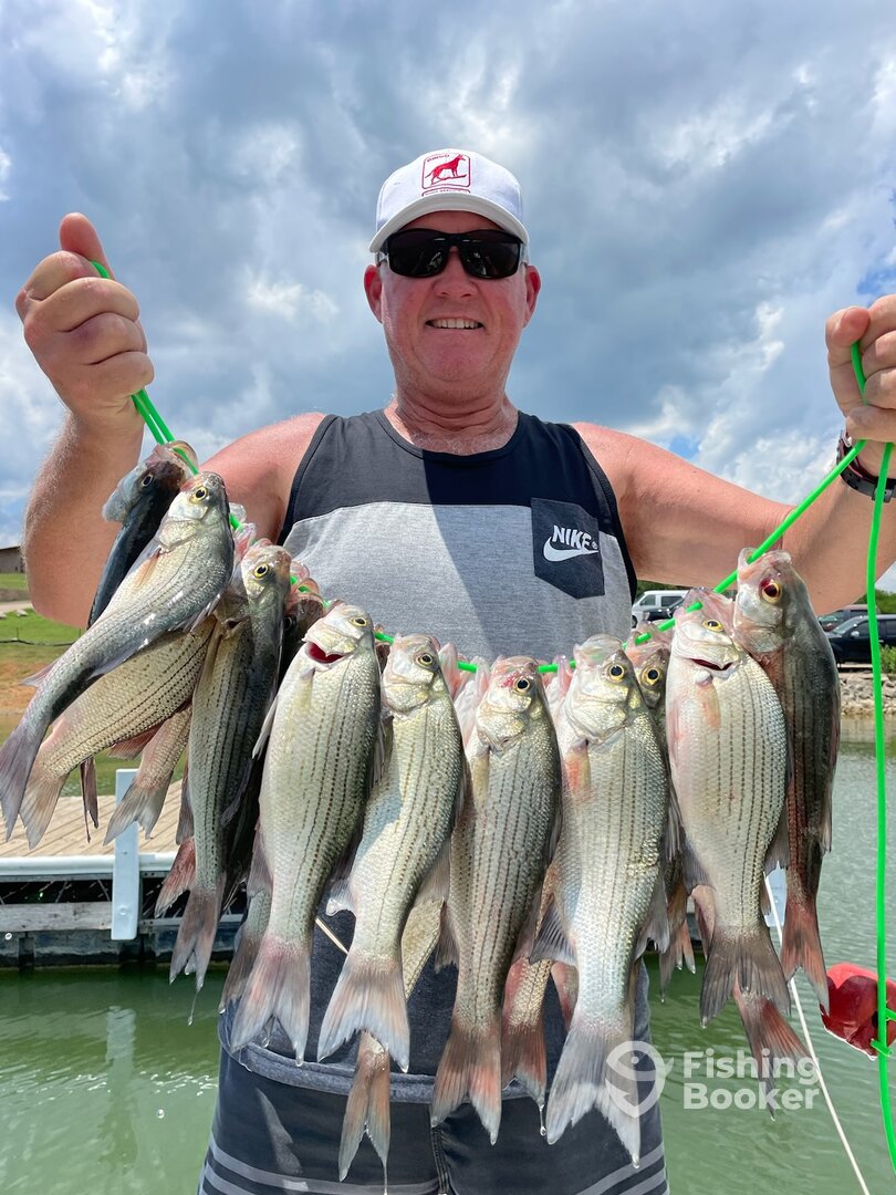 Grapevine Report Photo 0