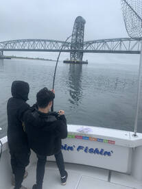 New York City Report Photo 1