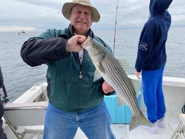 Dennis Report Photo 1