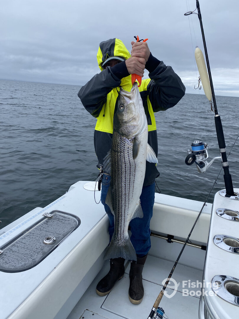 Bourne Report Photo 0