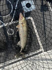 Fishing is heating up