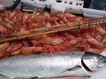 Found the fish today 