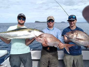 Snapper everywhere!