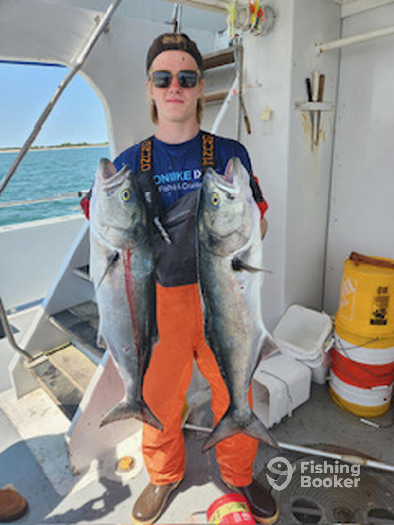 Greenwich Report Photo 0