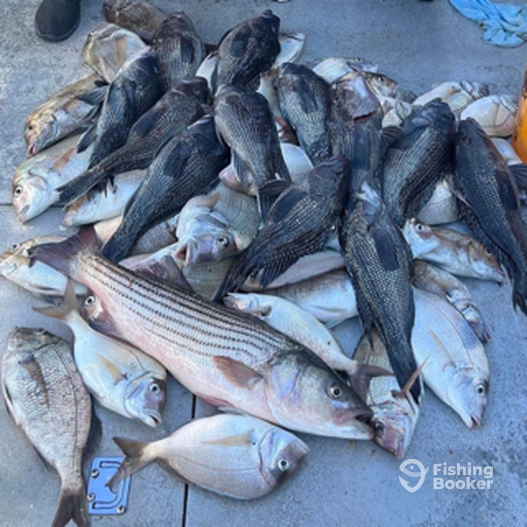 Greenwich Report Photo 0