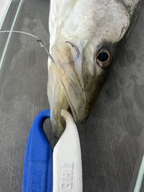 Edgewater Report Photo 2