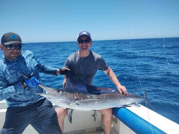 Marlin released !! 