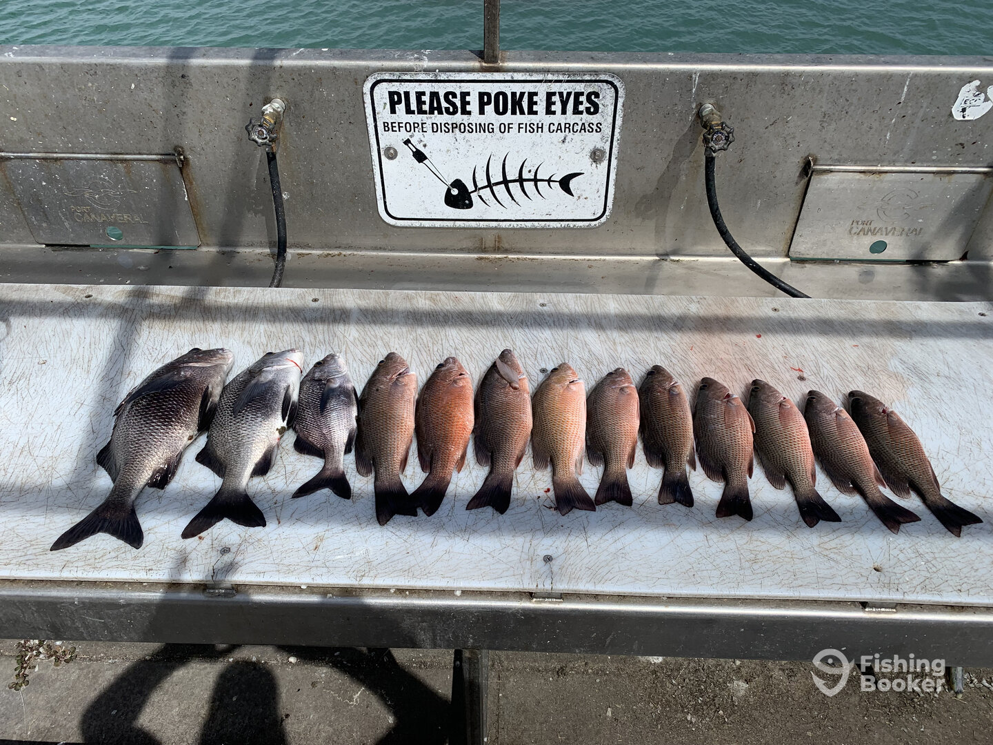 Port Canaveral Report Photo 0