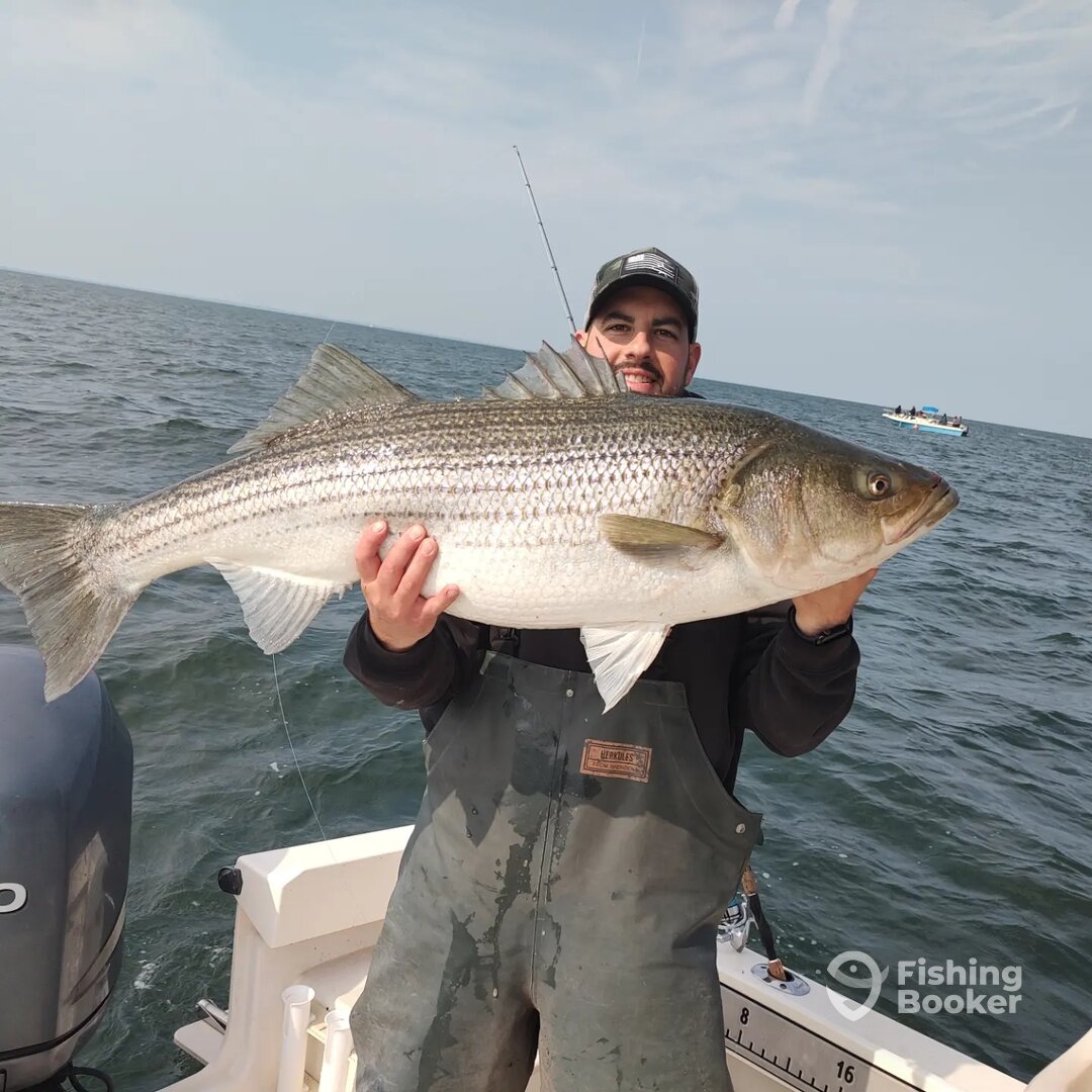 Mastic Report Photo 0