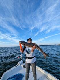 Come get some Cobia !