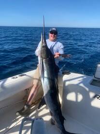 San Jose del Cabo Report Photo 2