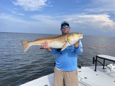 St. Bernard Report Photo 1