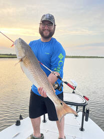 St. Bernard Report Photo 2