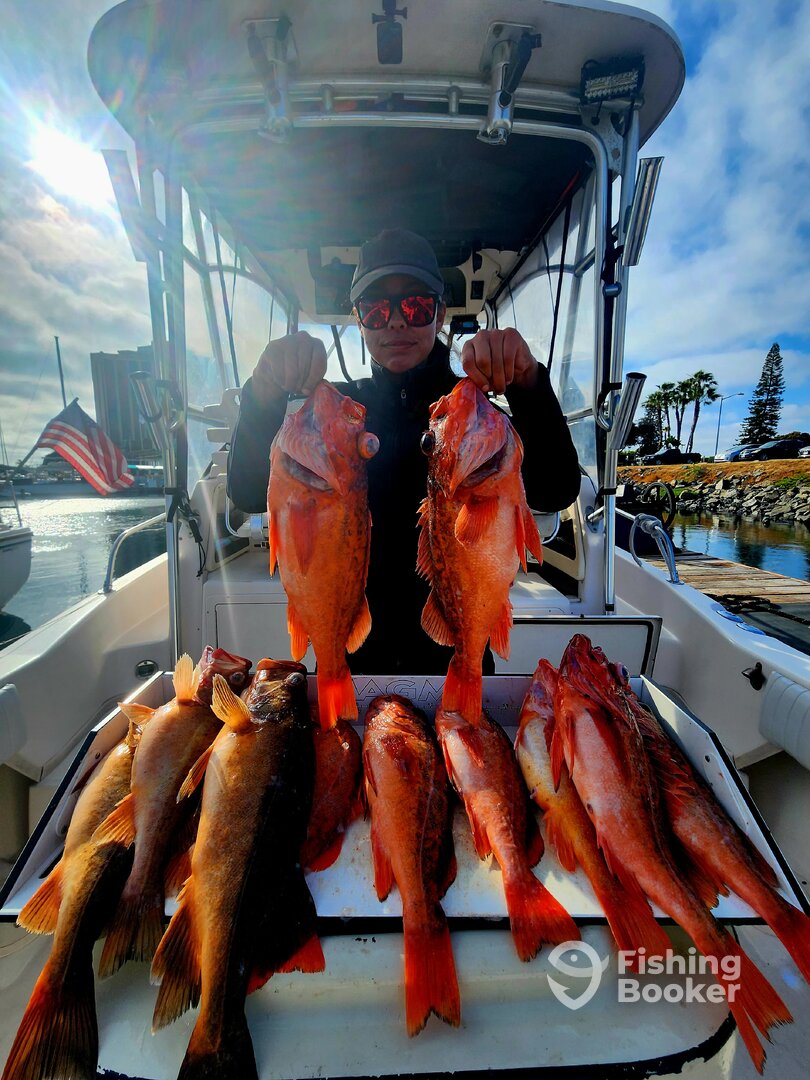 San Diego Report Photo 0