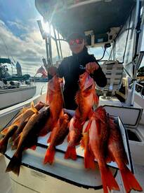 San Diego Report Photo 2