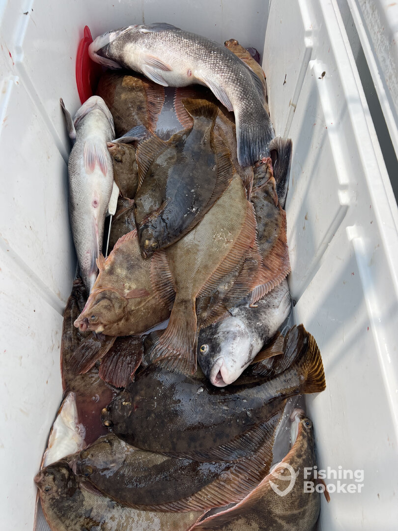 Dennis Report Photo 0