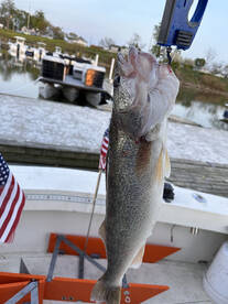 Mentor Report Photo 2