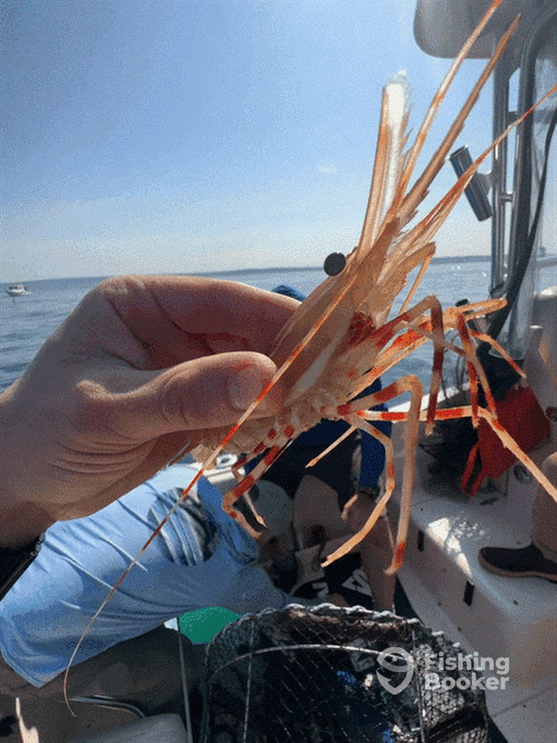 Seattle Report Photo 0