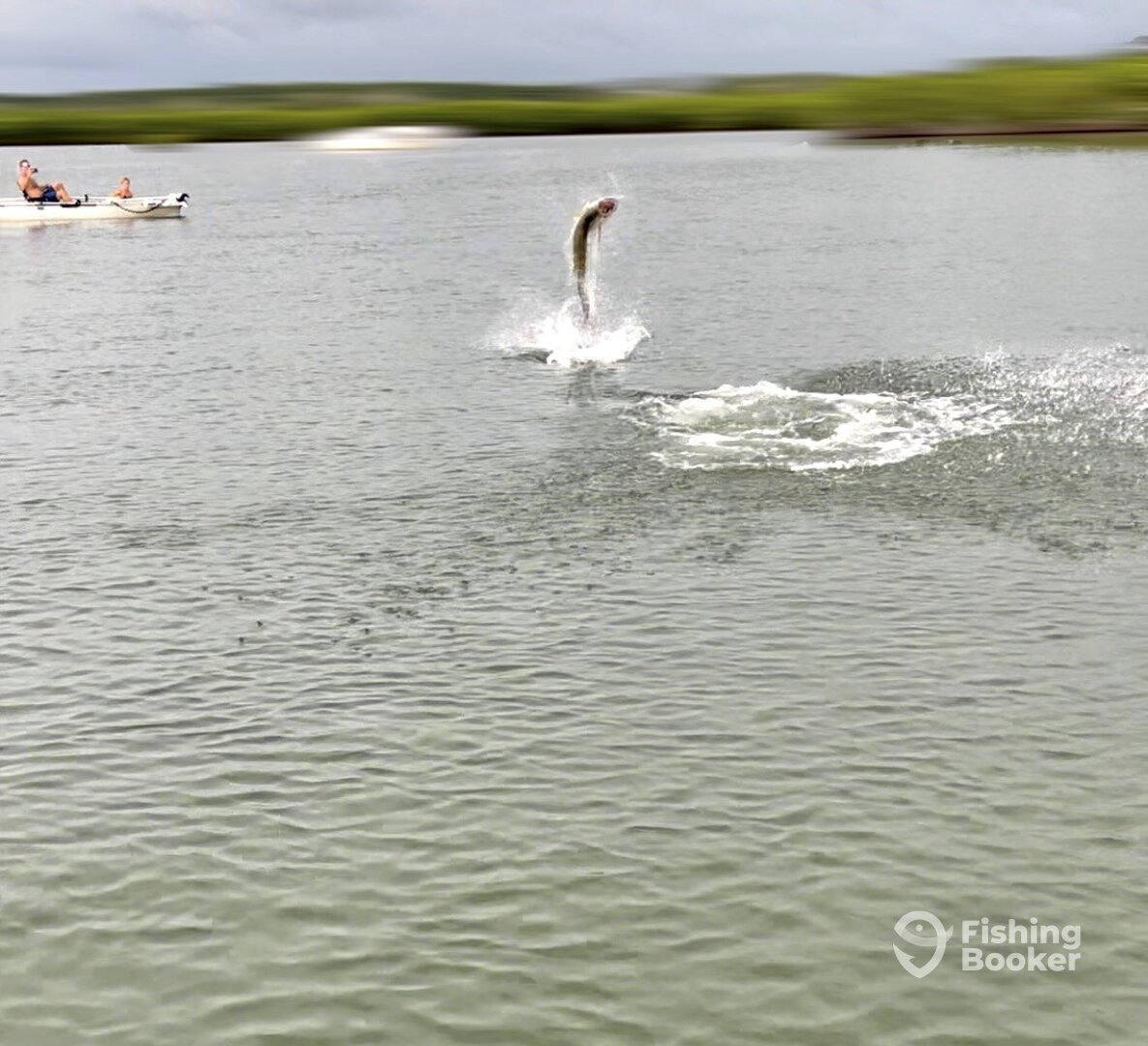 Orlando Report Photo 0