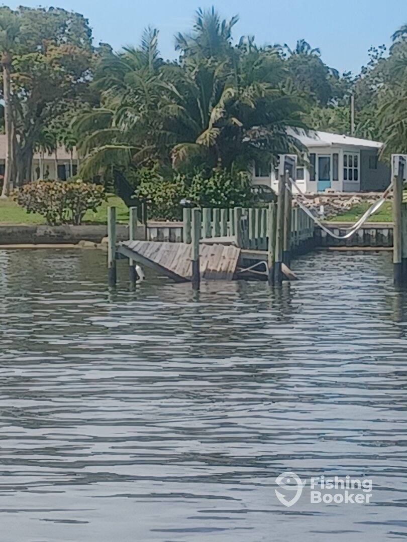 Jupiter Report Photo 0