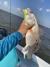 Lake Charles Report Photo 2