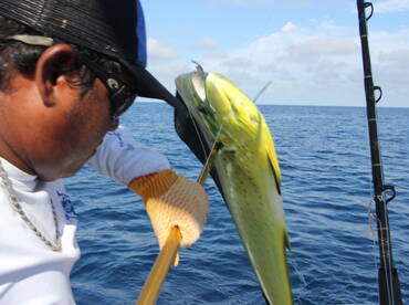 Foto Report Quepos 2