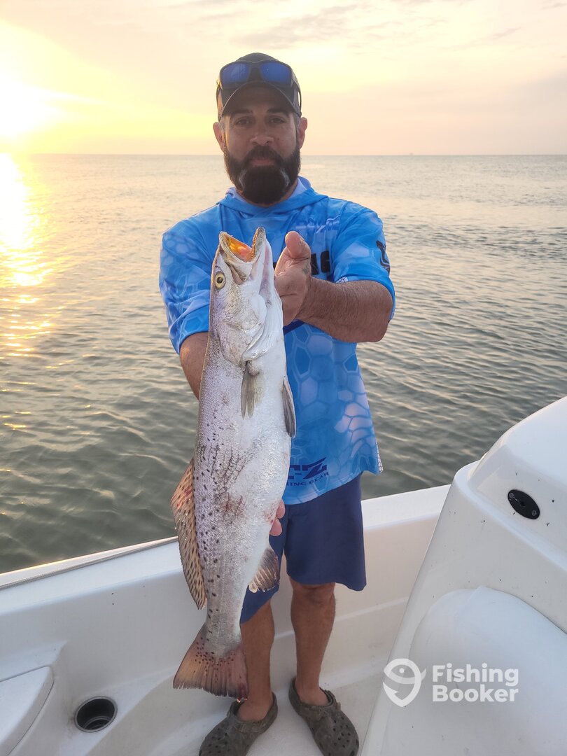 Sulphur Report Photo 0